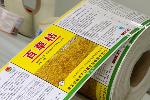 網站名稱