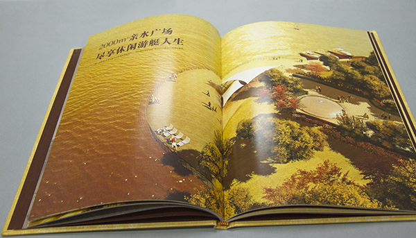 網站名稱